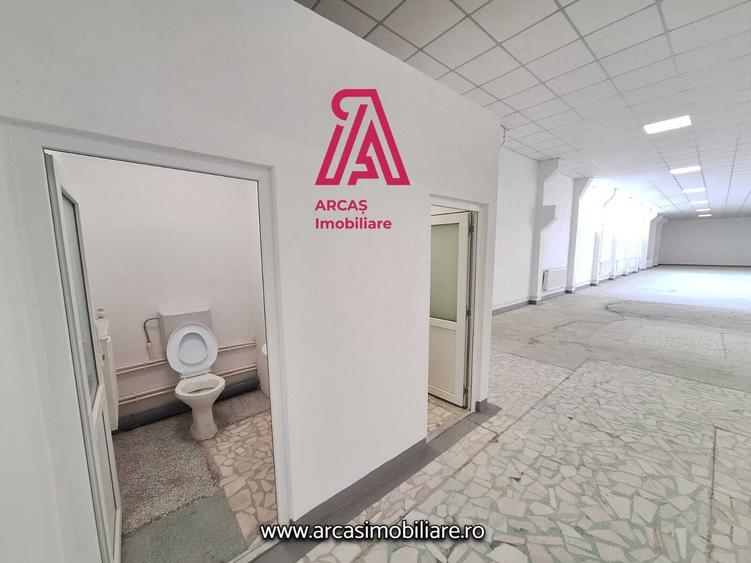 Proprietate specială, de 2,880 mp, în Mârșa