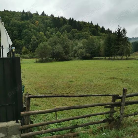 Teren de 1000 mp, în Buzăiel