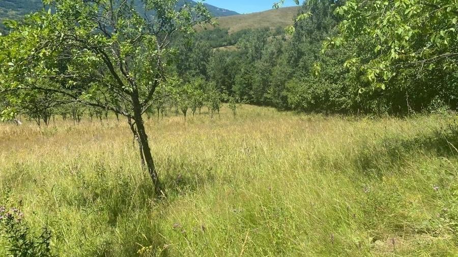 Teren de 20000 mp, în Central