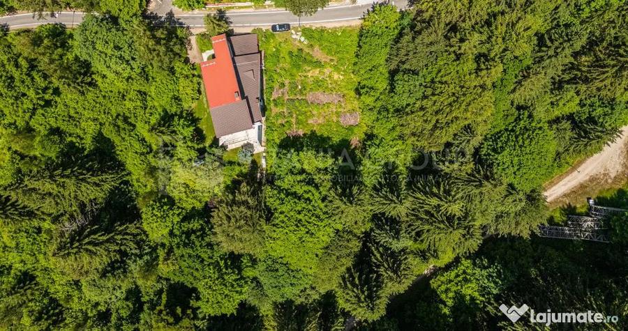 ????? Chalet Premium de Vanzare Poiana Bra?ov - 15