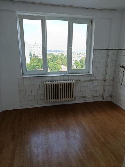 Apartament cu 2 camere în Dosu Bricii