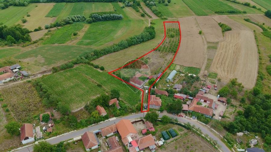 Casă cu 3 camere cu Teren 8788 Mp în Forosig
