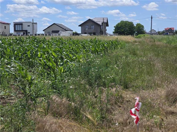 Teren agricol extravilan de 5000 mp, în Berceni