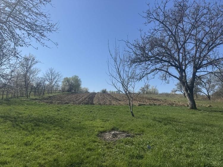 Vand casa si teren la 40 km de Baia Mare - 7