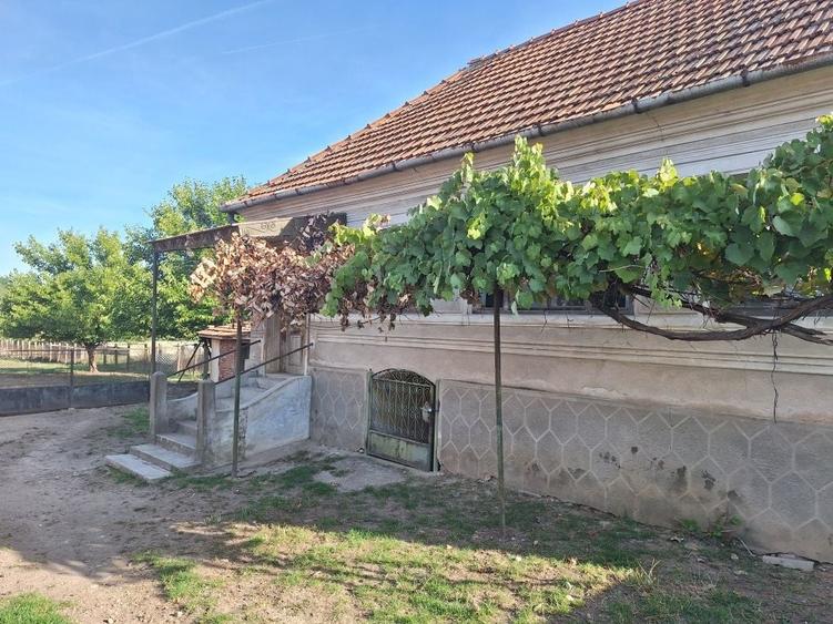 Casă cu 3 camere în Bărăștii Hațegului