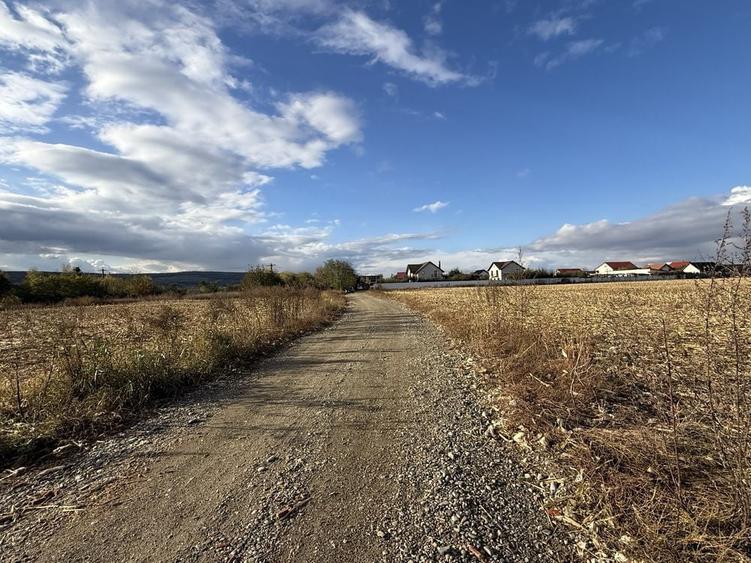 Teren de 6178 mp, în Lilieci