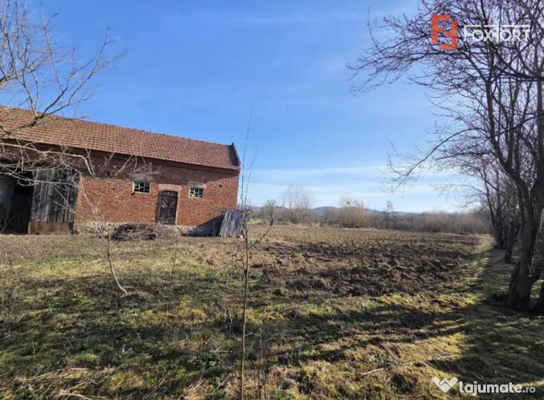 Casă cu 4 camere cu Teren 1440 Mp în Bârzava