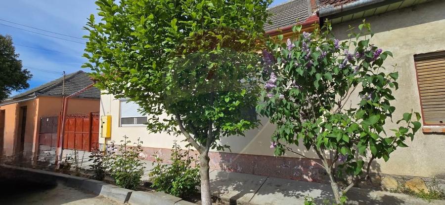 Casă individuală cu 6 camere cu Teren 700 Mp în Vest