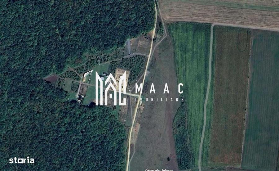 Spațiu comercial, în Șura Mică