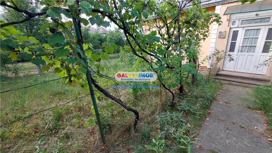 Casă cu 4 camere cu Teren 1160 Mp în Central