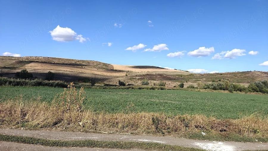 Teren de 7000 mp, în Vale