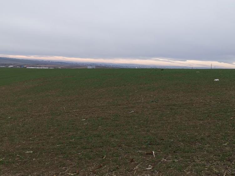 Teren agricol intravilan în Periferie