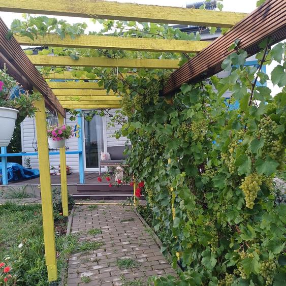 Casă cu 3 camere în Central