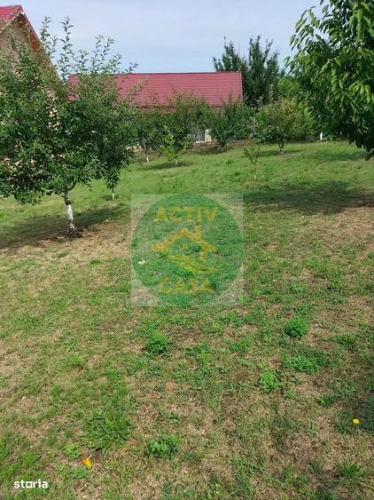 Casă cu 4 camere cu Teren 7000 Mp în Central