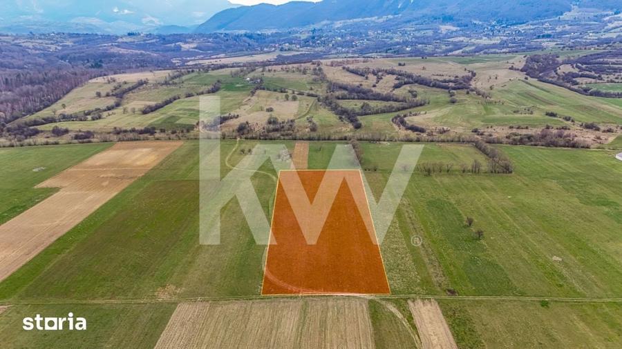 Teren de 1570 mp, în Plaiul Foii