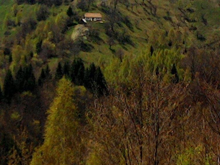 Teren Construcții intravilan de 14000 mp, în Bran