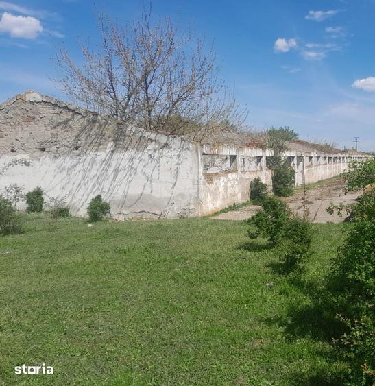 Teren de 84179 mp, în Izvoru