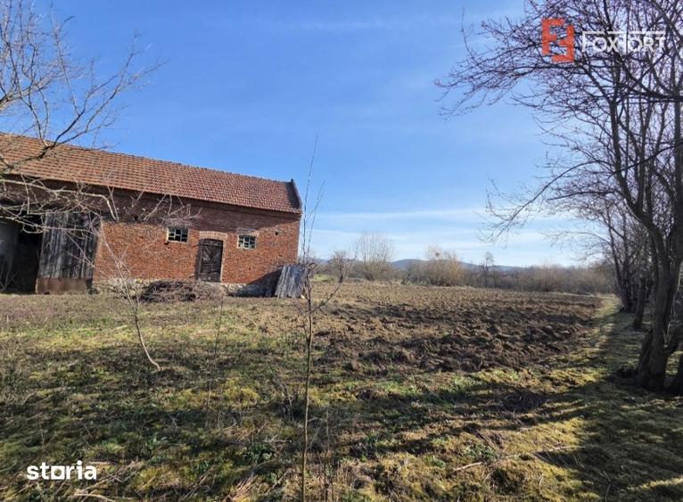 Casă cu 4 camere cu Teren 1440 Mp în Livada