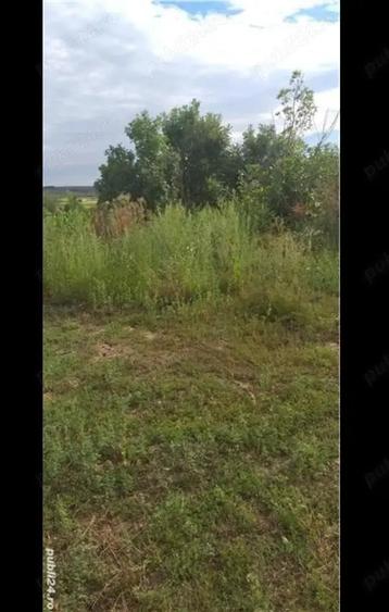 Teren de 3750 mp, în Husasău de Tinca