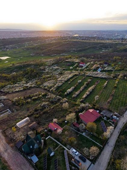 Teren de 900 mp, în Central