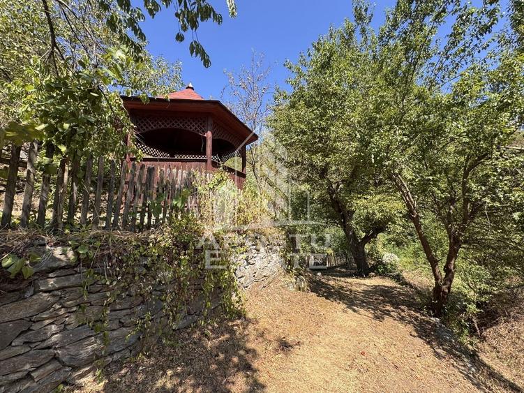 Casa batraneasca renovata, iesire la rau, in Toplita, Hunedoara - 29