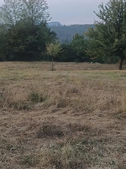 Teren de 8211 mp, în Central