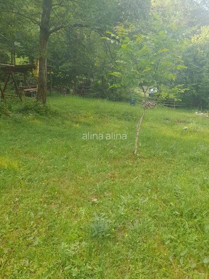 Teren de 2315 mp, în Boș