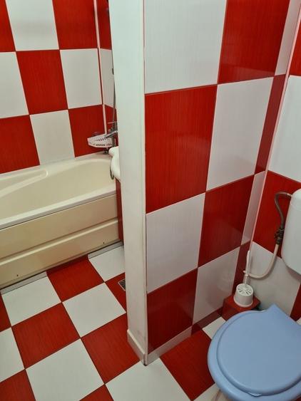Apartament decomandat în Nufărul