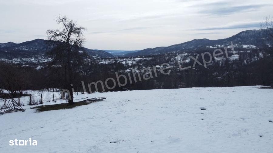 Teren de 4377 mp, în Bradu