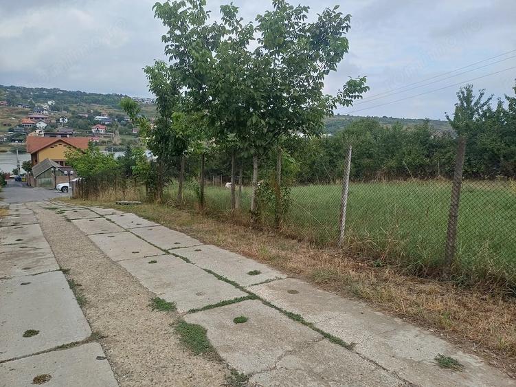 Spațiu comercial, în Valea Lupului