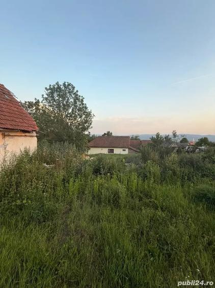 Casă cu 2 camere în Buteni