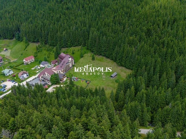 Teren Construcții intravilan de 12307 mp, în Moieciu de Sus