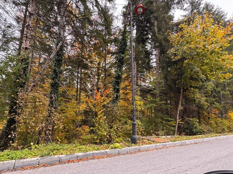 Teren Construcții intravilan de 835 mp, în Castelul Peleș