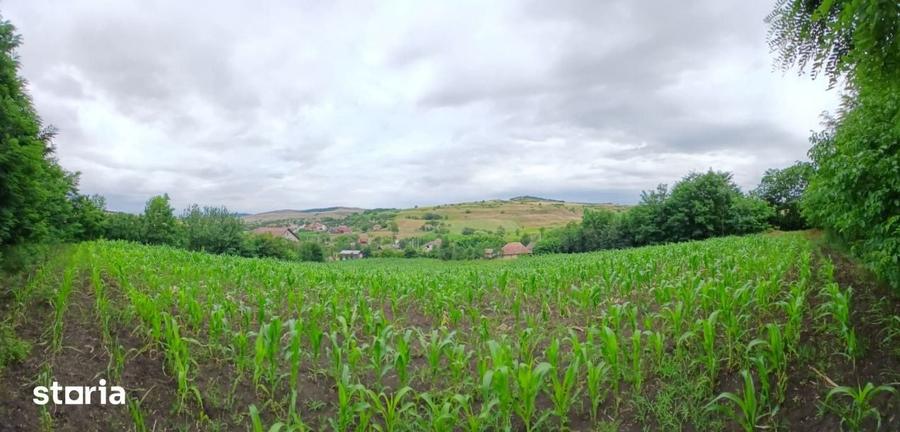 Casă cu 2 camere cu Teren 7000 Mp în Central