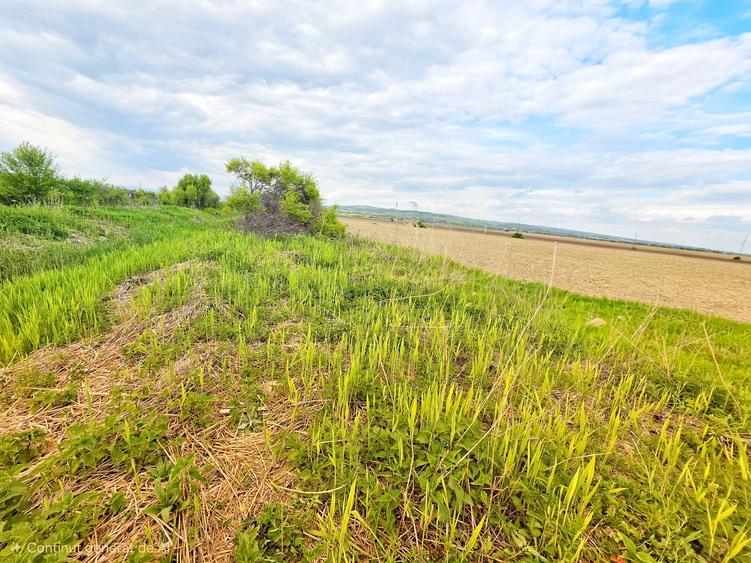 Teren Construcții intravilan de 7900 mp, în Bucov