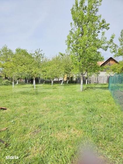 Casă cu 4 camere decomandat cu Teren 1000 Mp în Petrești