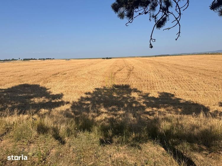 Teren de vanzare 10.200 mp, PlopeniSalcea, zona Aeroportului Suceava - 1