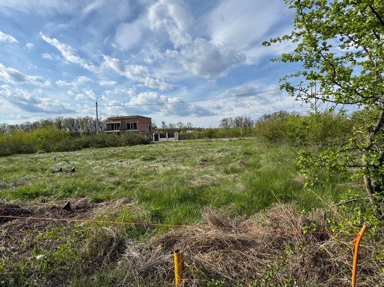 Teren Construcții intravilan de 538 mp, în Moșoaia