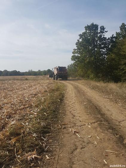 Teren de 3370 mp, în Moșoaia