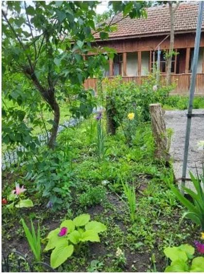 Casă cu 4 camere cu Teren 1485 Mp în Răzoarele