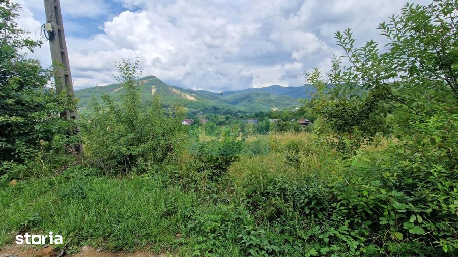 Teren de 5268 mp, în Baia Sprie