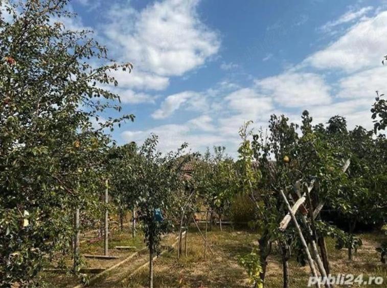Casă cu 4 camere cu Teren 5400 Mp în Ceamurlia de Sus