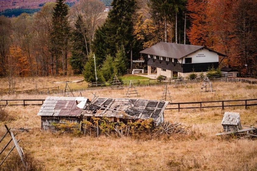 Casă individuală cu 5 camere cu Teren 625 Mp în Trăisteni