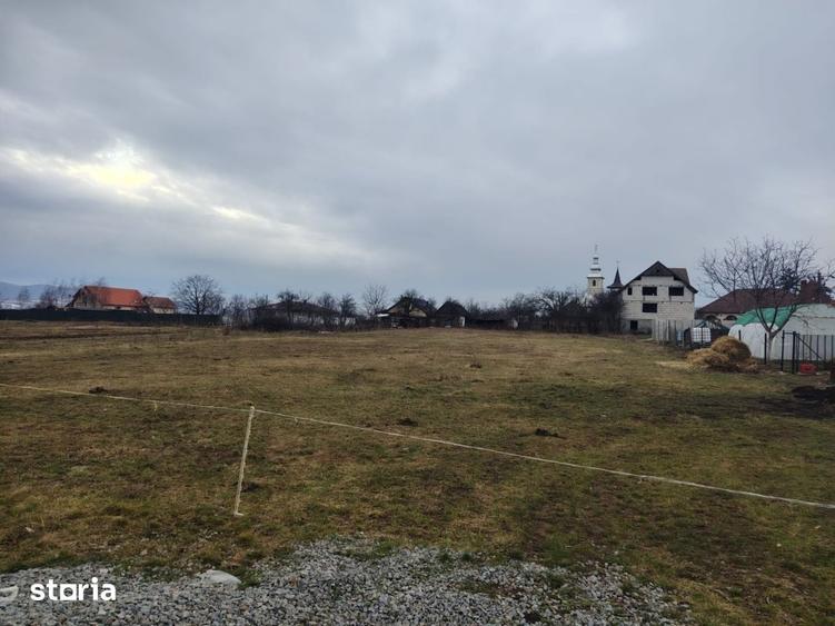 Teren de 4000 mp, în Suplacu de Barcău