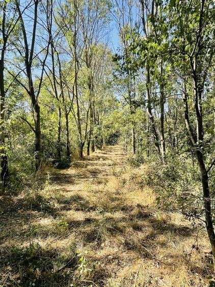 Teren de 5000 mp, în Valea Părului