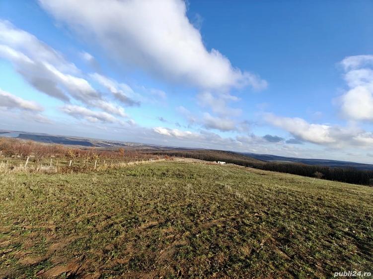 Teren de 3000 mp, în Săldăbagiu de Munte