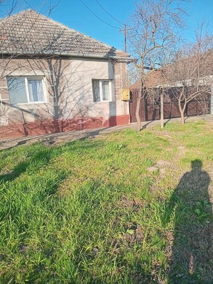 Casă cu Teren 1400 Mp în Zerind
