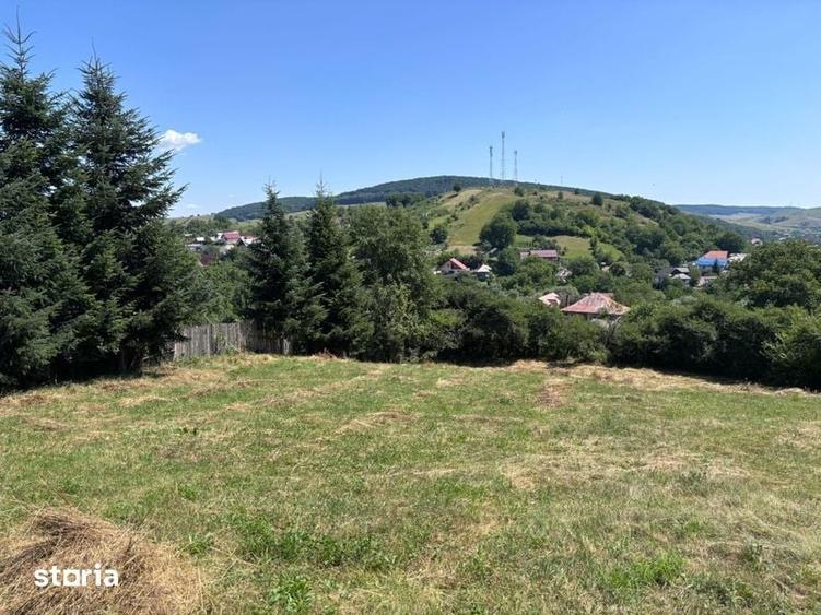 Teren de 5000 mp, în Gârcina