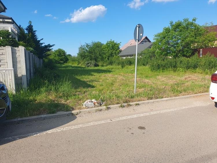 Teren de 2019 mp, în Dragomirești-Deal