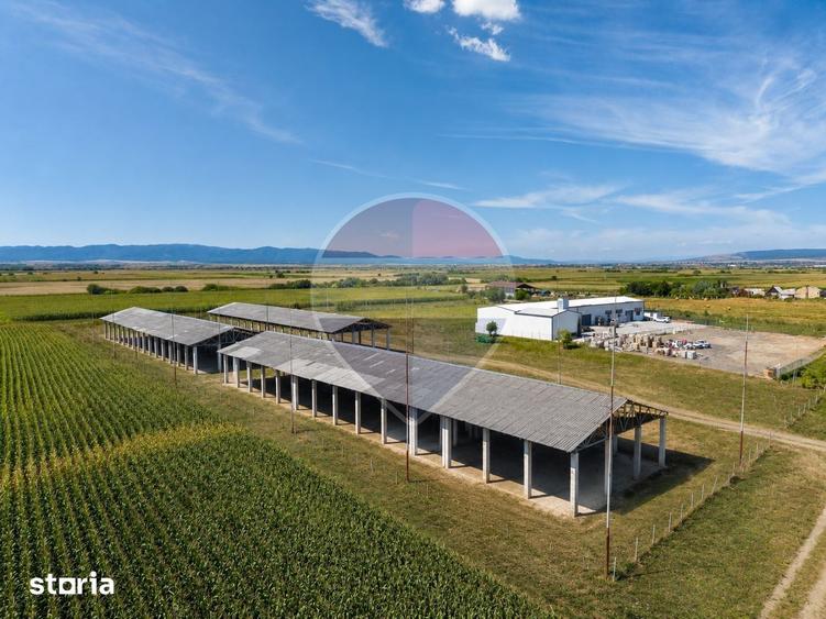 Teren de 17500 mp, în Hălchiu
